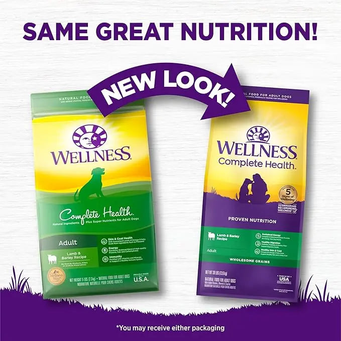 Wellness Complete Health Dry Dog Food with Grains, Made in USA with Real Meat & Natural Ingredients, All Breeds, Adult Dogs (Lamb & Barley, 30-lb) – With Nutrients for Immune, Skin, & Coat Support, 30.00 Pound (Pack of 1) - PAWPICO