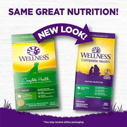 Wellness Complete Health Dry Dog Food with Grains, Made in USA with Real Meat & Natural Ingredients, All Breeds, Adult Dogs (Lamb & Barley, 30-lb) – With Nutrients for Immune, Skin, & Coat Support, 30.00 Pound (Pack of 1) - PAWPICO