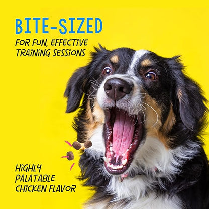 Crazy Dog Train-Me! Training Reward Dog Treats 16 Oz.,Chicken Regular - PAWPICO