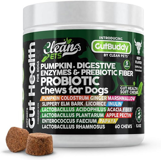 Probiotics for Dogs | Pumpkin Dog Probiotic Gut Health Diarrhea & Bowel Support | Colostrum, Digestive Enzymes, Ginger, Slippery Elm, Licorice, Inulin Fiber | Dog Supplement by Clean Pets - 1Pack CleanPets