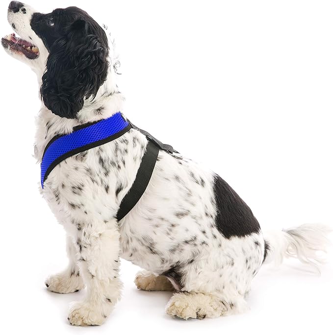 Gooby Comfort X Head In Harness - Blue, X-Large - No Pull Small Dog Harness Patented Choke-Free X Frame - Perfect on the Go Dog Harness for Medium Dogs No Pull or Small Dogs for Indoor and Outdoor Use Gooby