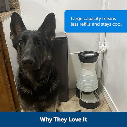 PetSafe Healthy Pet Water Station - Large, 320 oz Capacity - Gravity Pet Water Fountain, Automatic Cat Water Fountain or Dog Water Fountain - Water Dispenser - Removable Stainless Steel Bowl Included - PAWPICO