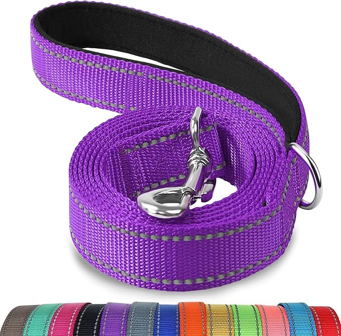 Joytale Double-Sided Reflective Dog Leash, 6 FT/5 FT/4 FT, Padded Handle Nylon Heavy Duty Leashes for Medium & Large Dogs Walking, Purple, 6FT Joytale