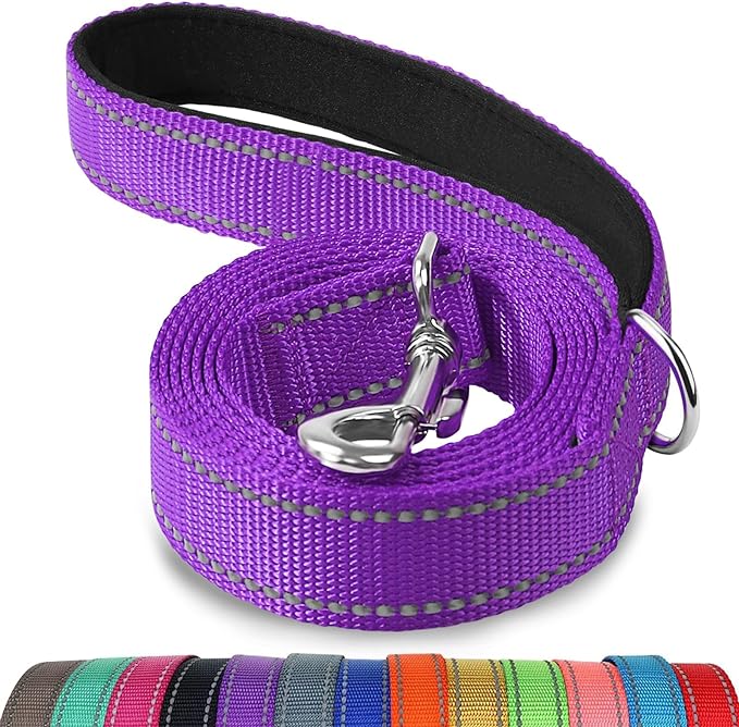 Joytale Double-Sided Reflective Dog Leash, 6 FT/5 FT/4 FT, Padded Handle Nylon Heavy Duty Leashes for Small & Medium Dogs Walking, Purple, 5FT Joytale
