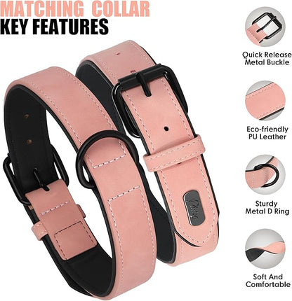 Didog Soft Padded Leather Dog Collar and Leash Set, Heavy Duty Pink Dog Leash and Collar Set with Metal Buckle, Breathable Dog Collars with 4FT Leather Dog Leash for Small Medium Large Dogs, Pink, M Didog