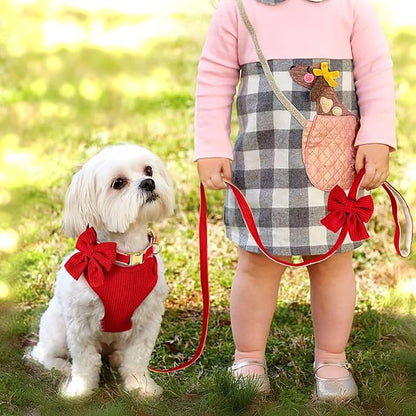 Didog Cute Small Dog Harness Collar & Leash Set, Adjustable Dog Collars and Leashes with Bowtie, Breathable Soft Mesh Padded Dog Vest for Puppies Small Dogs Walking, Red, S Didog