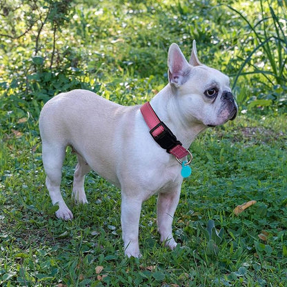 Reflective Dog Collar Padded with Soft Neoprene Breathable Adjustable Nylon Dog Collars for Small Medium Large Dogs (Medium (Pack of 1), Pink Collar+Leash) ladoogo