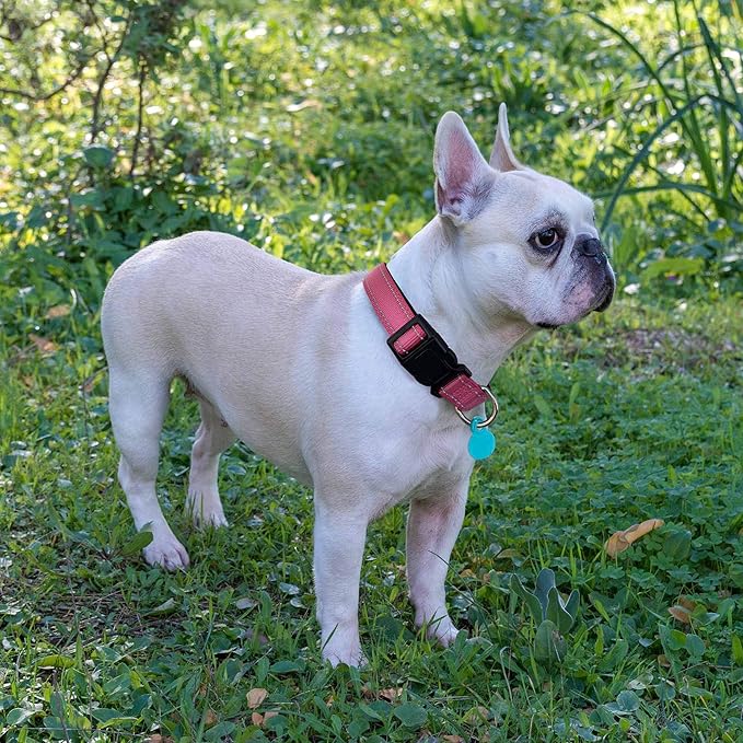 Reflective Dog Collar Padded with Soft Neoprene Breathable Adjustable Nylon Dog Collars for Small Medium Large Dogs (Large (Pack of 1), Pink Collar+Leash) ladoogo