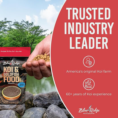 Blue Ridge Koi Fish Food 2lb - Koi Food Mini Growth Formula Goldfish Food, Premium Fish Food for Ponds, Ponds Fish Food, Koi Food Fall and Winter Fish Food, Floating Pond Pellets Fish Food BlueRidgeFishHatchery