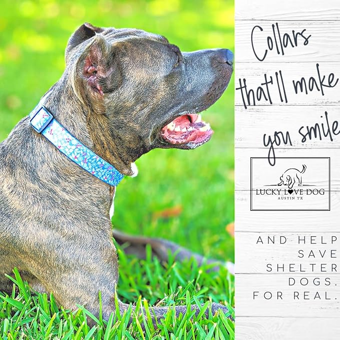 Lucky Love Dog - Adjustable Dog Collar with Easy Click Buckle for Small to Large Dogs, Durable, & Comfortable Collar for Male & Female Dogs, Pet Collar for Puppies & Adult Dogs - Winterblue, XL LuckyLoveDog