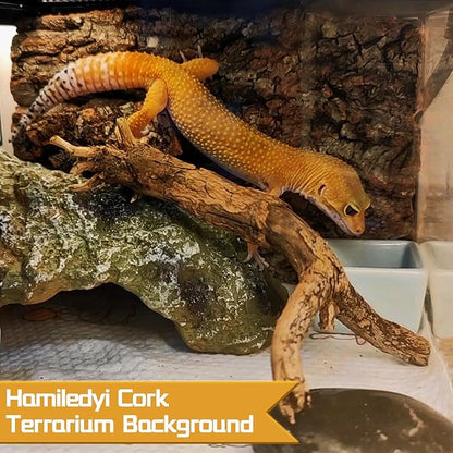6PCS Cork Terrarium Background 15.7x11.8in Natural Large Cork Bark Backdrop Reptile Climbing Mat Tank Habitat Decor for Spider Lizard Chamelon Turtle Beared Dragon Hamiledyi