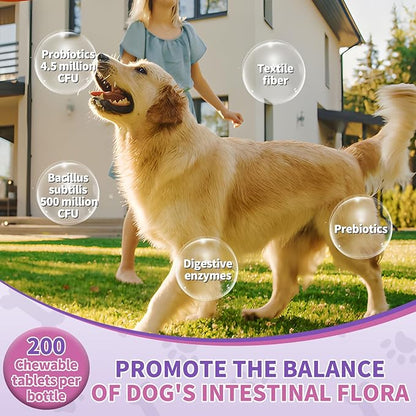 Probiotics For Dogs Chews 400 Probiotic and Digestive Enzymes Gut Health Itching Dog Digestive Health Yeast Prebiotic Supplement Immune Support Reduce Diarrhea Soft Chewable Tablets (Chicken Flavor) TTLXBLprotectsdoghealth