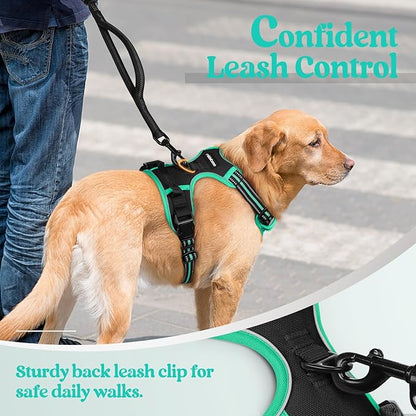 rabbitgoo Dog Harness No Pull with 2 Leash Clips, Adjustable Soft Padded, Reflective Oxford No Choke Pet Vest with Easy Control Handle for Large Dogs, Black & Turquoise, XL rabbitgoo