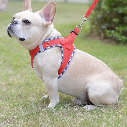 Mercano Soft Mesh Dog Harness and Leash Set, No-Chock Step-in Reflective Breathable Lightweight Easy Walk Escape Proof Vest Harnesses with Safety Buckle for Small Medium Dogs, Cats (Red, XL) PAWPICO