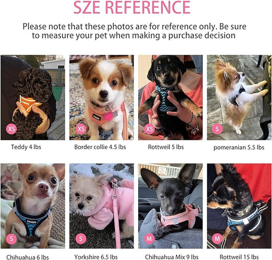 Dog Harness for Small Dogs, Small Dog Harness and Leash Set, Honeycomb Grid, Reflective Lightweight Harness & Anti-Twist Pet Lead,Dog Harness(Multi Color, Size: XS-S-M) (XS, Rose red) PAWPICO