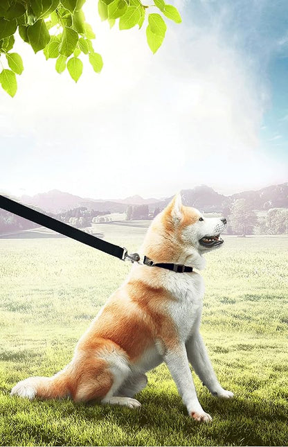 15ft 20ft 30ft 40ft 50ft Long Dog/Puppy Lead Obedience Recall Training Dog Leashes for Small Medium Dogs Camping, Training, Play, or Backyard (15 FT, Black) PETGOGO