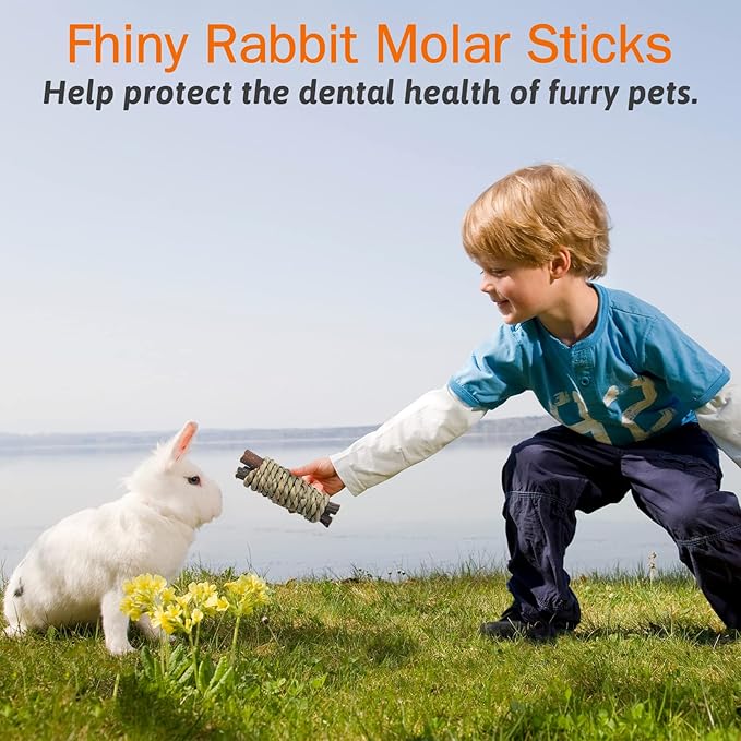 Fhiny 12 PCS Guinea Pigs Chew Toys, Natural Apple Branch Seagrass Molar Sticks for Teeth Bunny Chew Toys Cage Accessories for Guinea Pigs Rabbit Bunny Hamster Chinchilla Fhiny