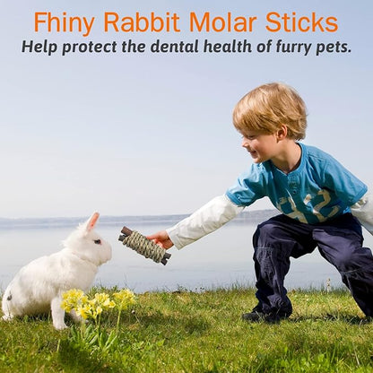Fhiny 12 PCS Guinea Pigs Chew Toys, Natural Apple Branch Seagrass Molar Sticks for Teeth Bunny Chew Toys Cage Accessories for Guinea Pigs Rabbit Bunny Hamster Chinchilla Fhiny