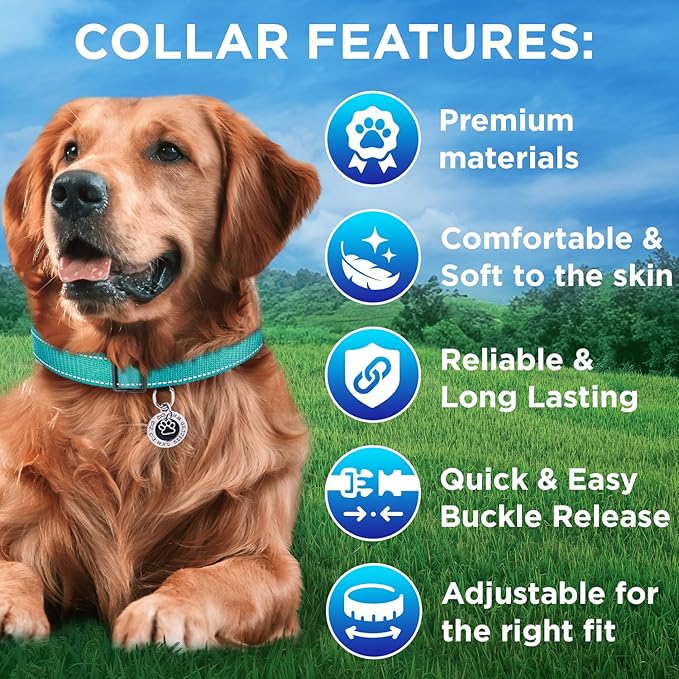 TECEUM Reflective Pet Collar – Teal – XS – Basic Nylon Dog Collar – Quick Release Buckle – Fits Small, Medium and Large Dogs, Puppies, Cats – ESA & Service Dog Options TECEUM