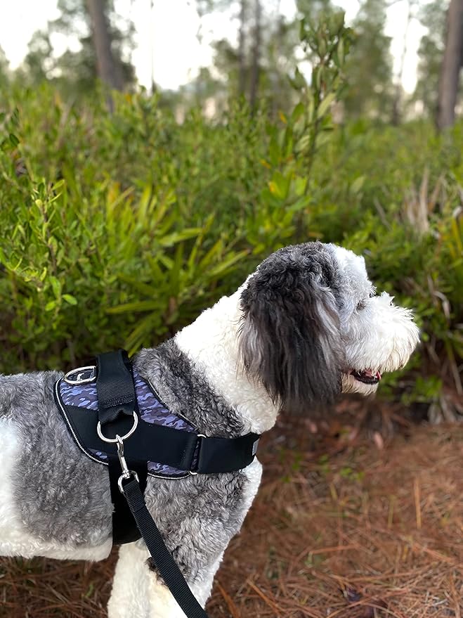 ShawnCo Essential Dog Harness, No-Pull Pet Vest with 3 Leash Clips, No Choke, Reflective, Adjustable and Padded, for Easy Walking and Training for Small, Medium and Large Dogs (Black Camo, L) SHAWNCO