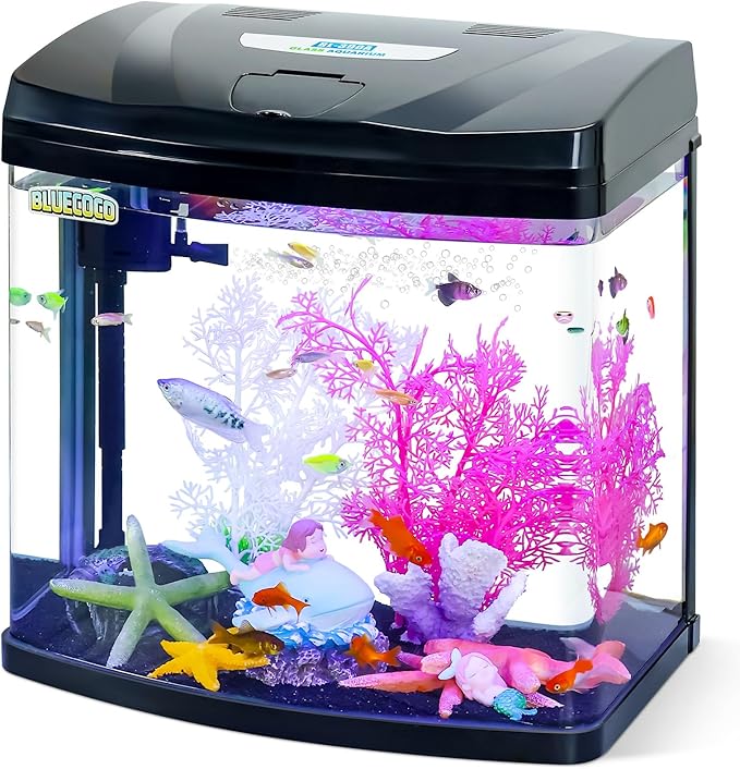 6 Gallon Glass Aquarium Starter Kit with Flip-Top Feeding Port for Betta Fish: Crystal Clear Viewing, Eco-Cycle Filtration, Air Pump, and LED Lighting Bluecoco