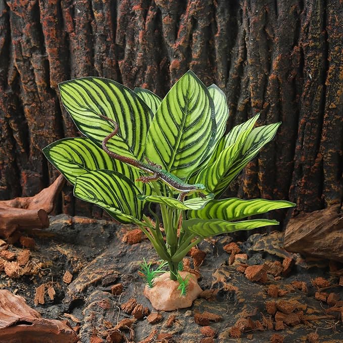 Terrarium Plants for Reptile Terrarium, Reptile Plants Tortoise Habitat Accessories, Artificial Spider Plant for Gecko, Ball Python, Tortoise Terrarium Décor - Calathea Makoyana A IBWell