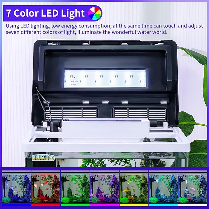 6 Gallon Glass Aquarium Fish Tank Starter Kit with Temperature and Time Display for Betta Fish Featuring Crystal Clear 360° Viewing, Eco-Cycle Filtration, Air Pump Bluecoco