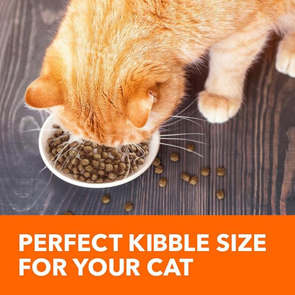 IAMS Proactive Health Adult Healthy Dry Cat Food with Salmon, 16 lb. Bag - PAWPICO