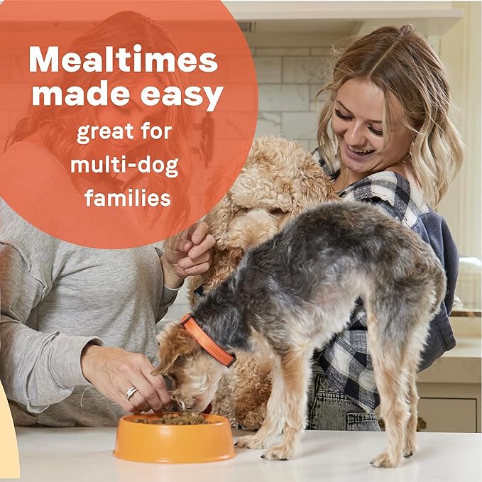 CANIDAE? All Life Stages Chicken Meal & Rice Formula Dog Dry 15 lb - PAWPICO