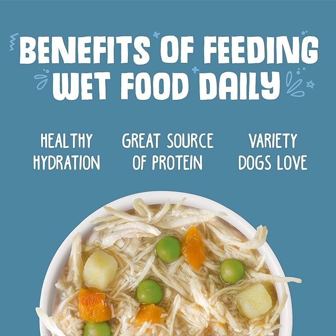 Weruva Classic Dog Food, Grandma's Chicken Soup with Chicken Breast & Veggies, 5.5oz Can (Pack of 24), Blue (4124) - PAWPICO