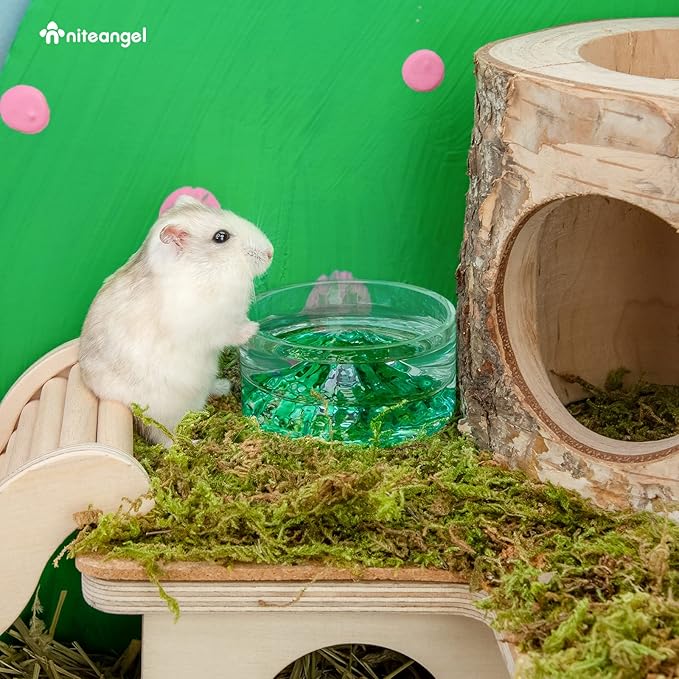 Niteangel Hamster Feeding & Water Bowls- Mount Fuji Series Glass Drinking Bowls for Dwarf Syrian Hamsters Gerbils Mice Rats or Other Similar-Sized Small Pets Niteangel
