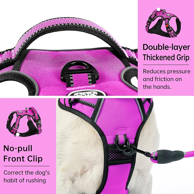IVY&LANE No Pull Dog Harness for Large Dogs, Dog Vest Harness with Leash, Safety Belt and Storage Strap, Fully Adjustable Harness, 360° Reflective Strip, Soft Handle (Fuchsia Pink, L) IVYLANE