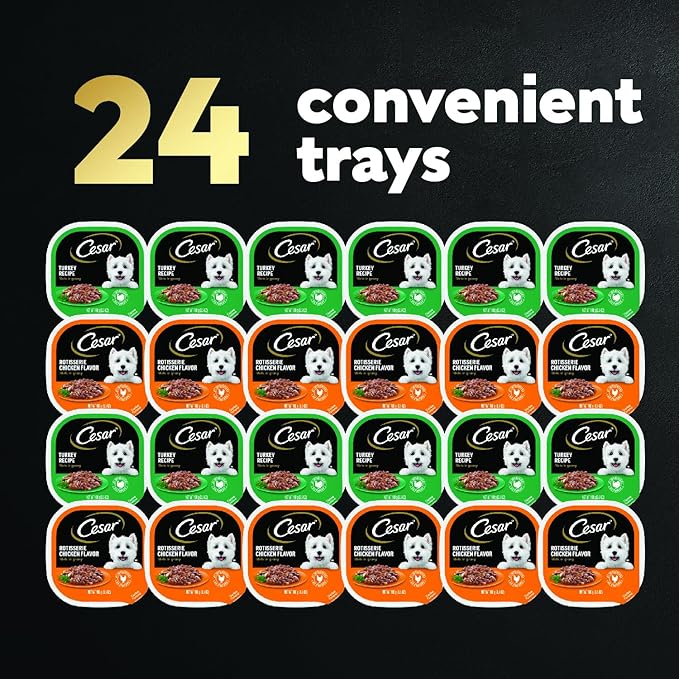 CESAR Filets in Gravy Adult Wet Dog Food, Poultry Lovers Variety Pack, 3.5 oz. Easy Peel Trays, Pack of 24 - PAWPICO