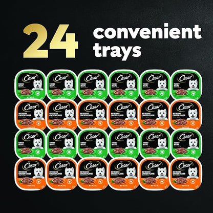 CESAR Filets in Gravy Adult Wet Dog Food, Poultry Lovers Variety Pack, 3.5 oz. Easy Peel Trays, Pack of 24 - PAWPICO