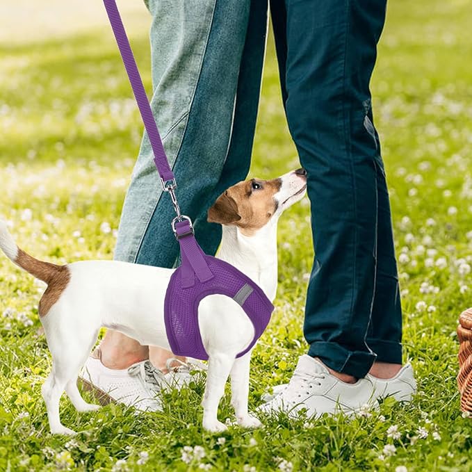 PUPTECK Adjustable Dog Harness Collar and Leash Set Step in No Pull Pet Harness for Small Medium Dogs Puppy and Cats Outdoor Walking Running, Soft Mesh Padded Reflective Vest Harnesses PUPTECK