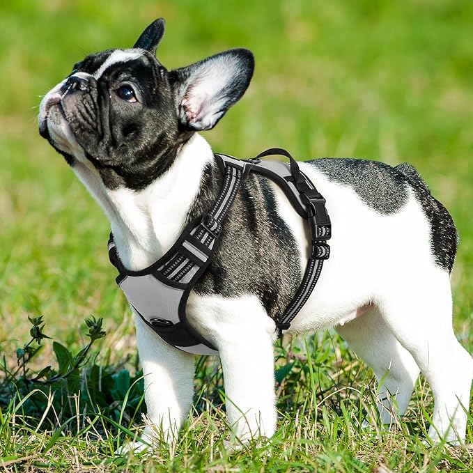Eagloo Dog Harness Small Sized Dog, No Pull Service Vest with Reflective Strips and Control Handle, Adjustable and Comfortable for Easy Walking, No Choke Pet Harness with 2 Metal Rings, Grey, S GoExplorewithEagloo