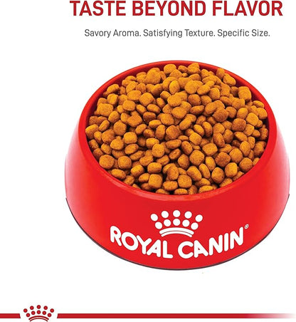 Royal Canin Golden Retriever Puppy Dry Dog Food, 30 lb bag - PAWPICO