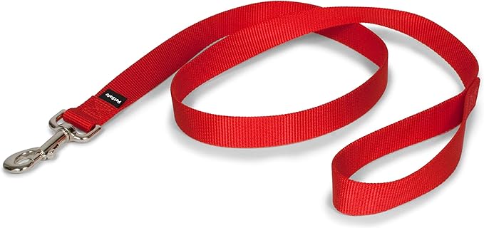 PetSafe Nylon Dog Leash – Strong, Durable, Traditional Style Leash with Easy to Use Bolt Snap – 1" x 4', Red PetSafe
