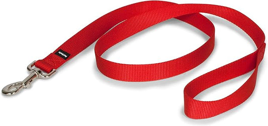 PetSafe Nylon Dog Leash – Strong, Durable, Traditional Style Leash with Easy to Use Bolt Snap – 1" x 4', Red PetSafe