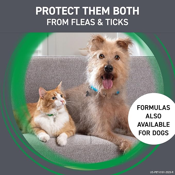 Frontline Plus Flea and Tick Treatment for Cats Over 1.5 lbs. 6 Treatments FRONTLINE%C2%AEBrandProducts