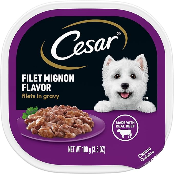 CESAR Filets in Gravy Adult Wet Dog Food, Filet Mignon Flavor, 3.5 oz. Easy Peel Trays, Pack of 24 - PAWPICO