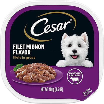 CESAR Filets in Gravy Adult Wet Dog Food, Filet Mignon Flavor, 3.5 oz. Easy Peel Trays, Pack of 24 - PAWPICO
