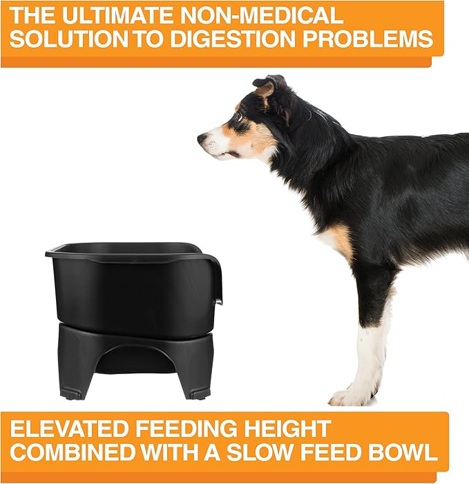 Neater Feeder - Express Model w/ Slow Feed Bowl - Mess-Proof Dog Bowls (M/L, Black) Made in USA – Elevated, No Spill, Non-Tip, Non-Slip, Raised Stainless Steel Food/Water Pet Bowls Aid Digestion - PAWPICO