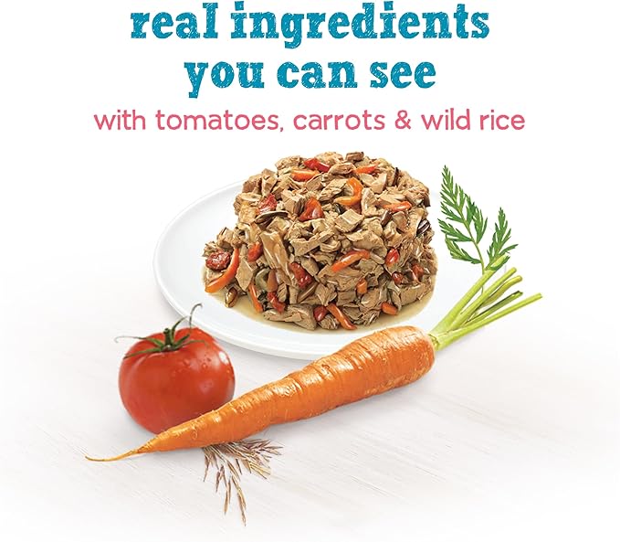 Purina Beneful Small Breed Wet Dog Food With Gravy, IncrediBites with Real Salmon - (8 Packs of 3) 3 oz. Cans - PAWPICO