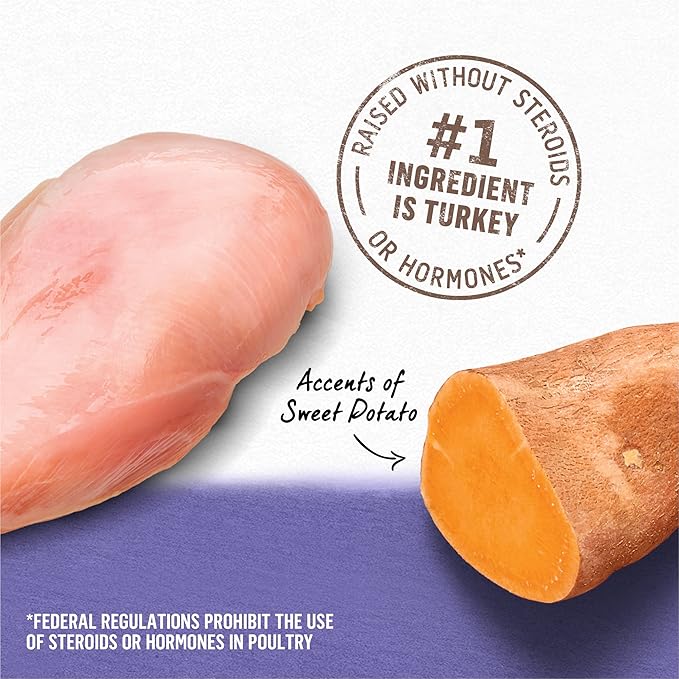 Purina Beyond Turkey and Sweet Potato Grain Free Wet Dog Food Ground Entree - (Pack of 12) 13 oz. Cans - PAWPICO