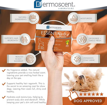 Dermoscent Essential 6 spot-on - Dog Skin Care for Dandruff & Allergy Relief with Vitamin E Oil - Anti Itch for Dogs - Natural Ingredients for Sensitive Skin - Dogs 20-40 kg - 4 Pipettes of 2.4 ml Dermoscent