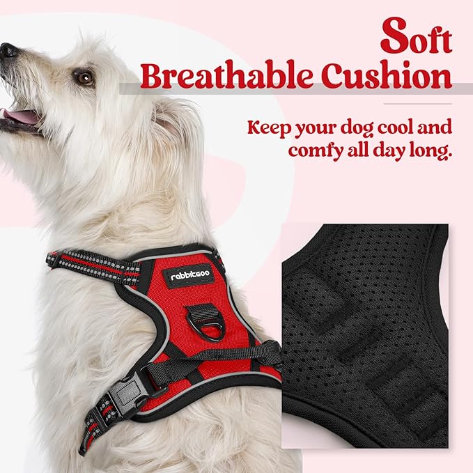 rabbitgoo Dog Harness No Pull with 2 Leash Clips, Adjustable Soft Padded, Reflective Oxford No Choke Pet Vest with Easy Control Handle for Puppy, Red,XS rabbitgoo