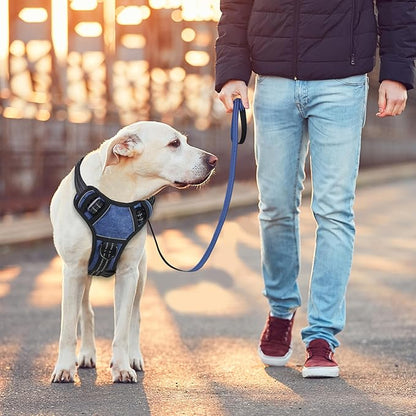 BUMBIN Dog Harness for Large Dogs, No Pull Adjustable No Choke Pet Vest with Dog Leash Fit Smart Reflective Pet Walking Harness for Training Easy Control Soft Handle Denim Blue XL BUMBIN