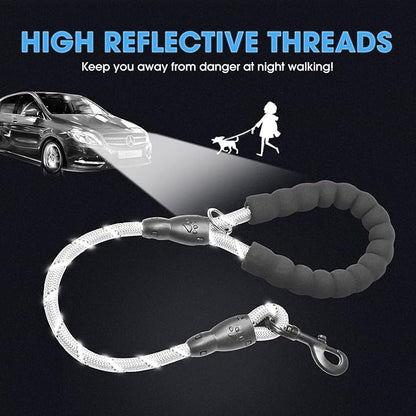 BAAPET 2/4/5/6 FT Dog Leash with Comfortable Padded Handle and Highly Reflective Threads for Small Medium and Large Dogs (2FT-1/2'', Silver) BAAPET