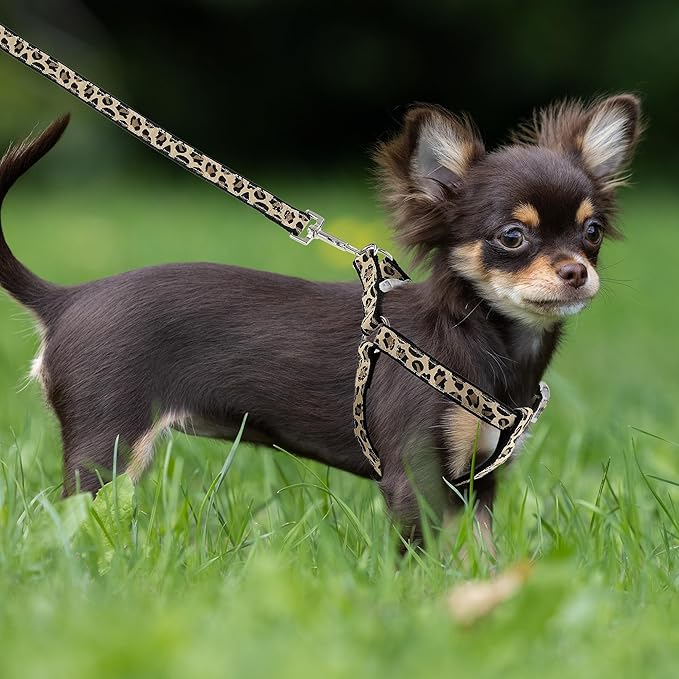Mile High Life Leopard Dog Harness Collar Leash Set | Adjustable No Pull Dog Halter Harness for Small Breed Dogs | Easy Control for Training Walking | Black, Small MileHighLife